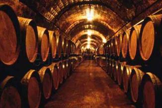 Agroinformacion.com06042013_81703