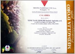 Mostra-Nazionale-Vini-Medaglio-dOro-2015-Tenuta-Iuzzolini