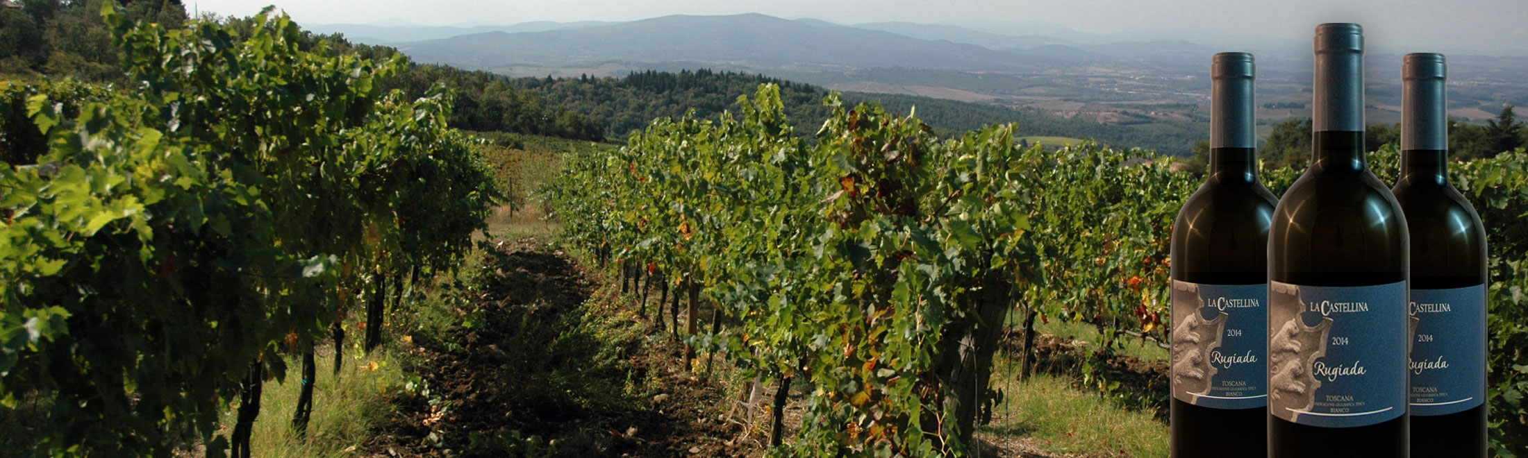 La castellina Rugiada