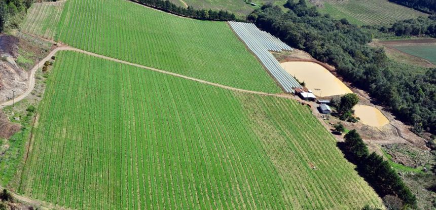 3a5234f23458ca0889a06a728fc5ca57