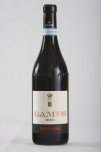 resized_gamvs-300x450